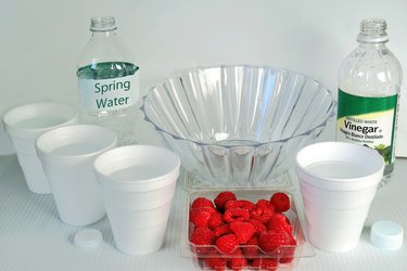 raspberries, cups, bowl and white vinegar on table