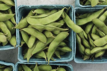 大豆食品大豆eDamame