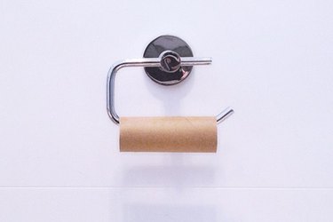 An empty toilet paper roll