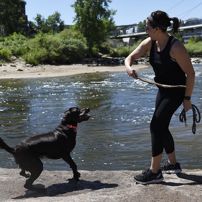 Dog walking in Denver