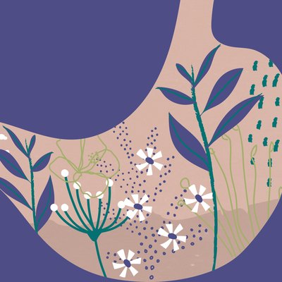 conceptual illustration depicting diverse ecosystem of bacteria living within pink stomach on purple background