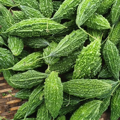 Bitter gourd or bitter melon