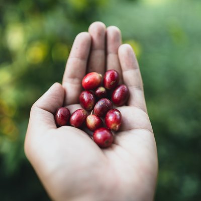 Close-Up Of Hand Holding Red Berry Fruits