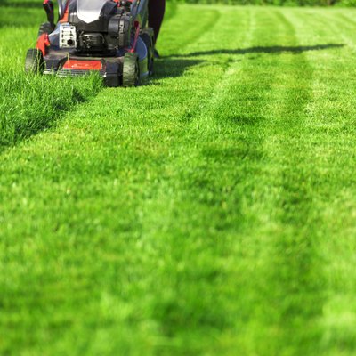 Mowing lawn