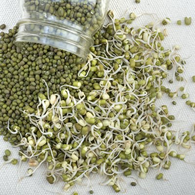 Sprouted and whole mung beans