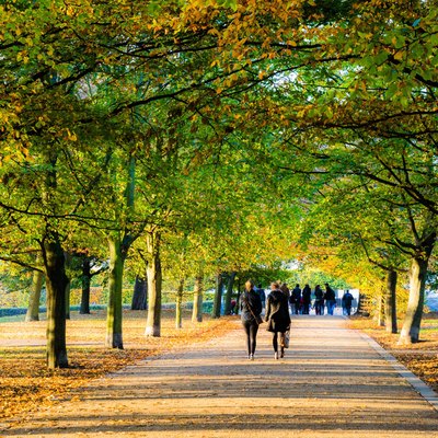 Rear View Of People Walking On Road At Park In Autumn