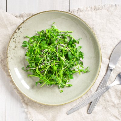 Green seedling salad in the plate on the white table