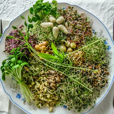 Sprout salad