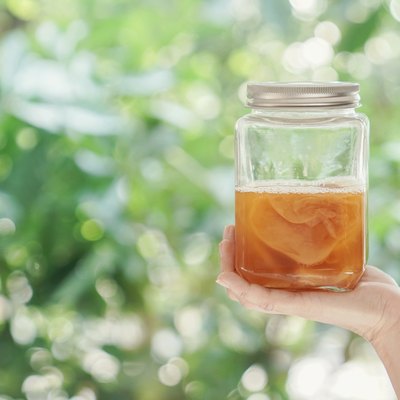 Kombucha Fermented tea, Probiotic food for gut health