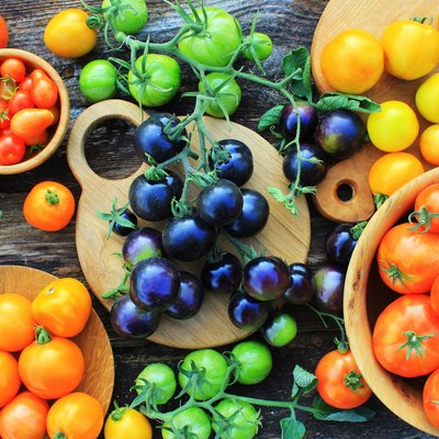 Freshly picked heirloom tomato harvest: pear shaped, beef heart, tigerella, brandywine, cherry, black, indigo rose, green. Organic produce at a Farmer's market