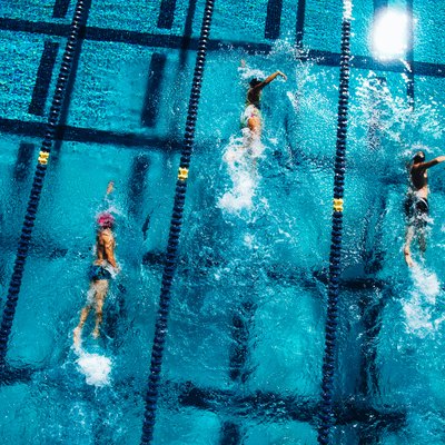 Overhead view of swimmers in pool