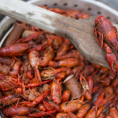 A pot with cooked red crawfish in it for a crawfish boil.