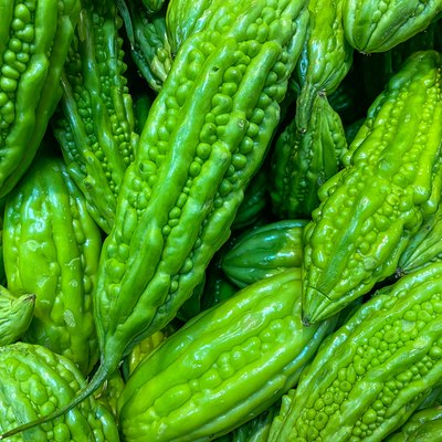 Full frame photo of fresh bitter cucumbers for backgrounds concept