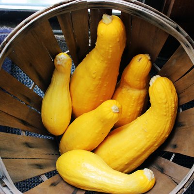 close-up of crookneck squash in round basket with rim