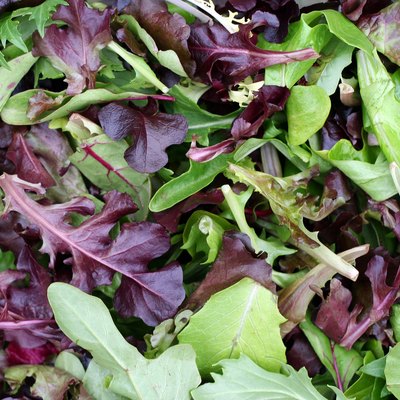 Beautiful Greens