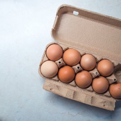 Nine Eggs in an Egg Box/Carton