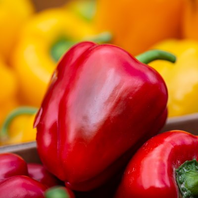 Bell Peppers For Sale