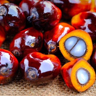 Close up of fresh oil palm fruits, selective focus.