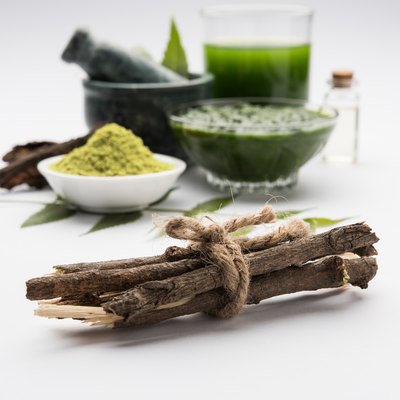 Medicinal Ayurvedic Azadirachta indica or Neem leaves in mortar and pestle with neem paste, juice and twigs, powder and oil, selective focus