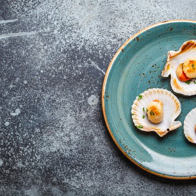 Tasty grilled scallops