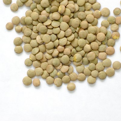 Green Lentils on White