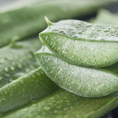 Aloe vera
