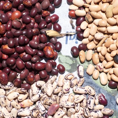 Small piles of colorful dried beans