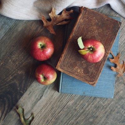 Autumn still life with apples, warm blanket, books and leaves over rustic wood background, shot directly above