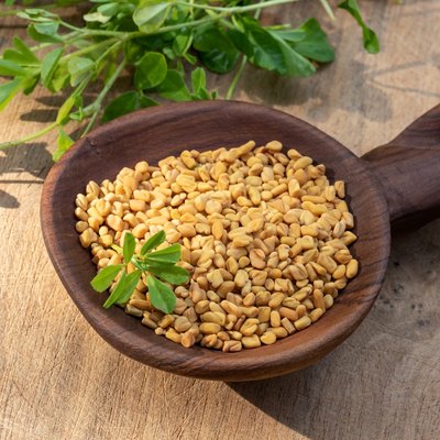 Fenugreek seeds on a spoon with fresh Trigonella foenum-graecum plant