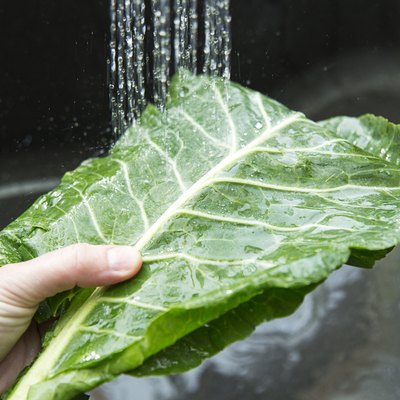Washing your greens