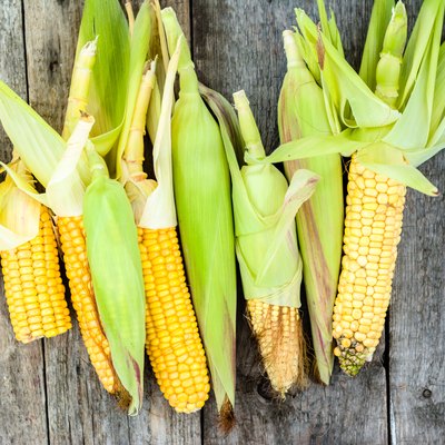 Fresh corn on rustic wooden boards, farmer vegetables harvested for local market, from above