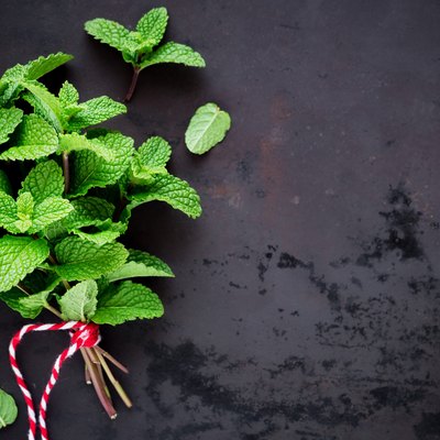 Fresh peppermint in a bunch