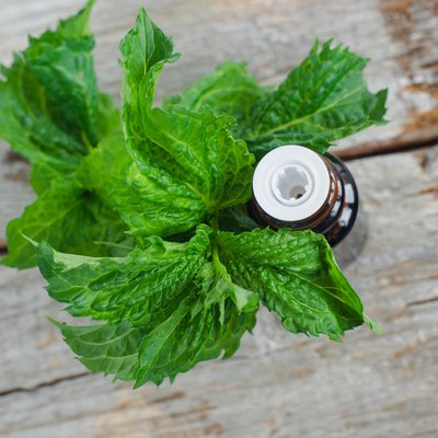 Small bottle with essential mint oil on the old wooden background. Fresh spearmint leaves close up. Aromatherapy, spa and herbal medicine ingredients. Copy space