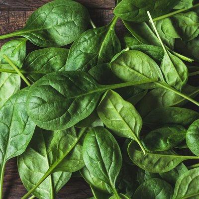 Baby spinach leaf as a background
