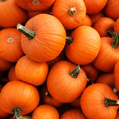 Recently harvested orange pumpkins in a random pile