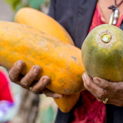Woman holding papaya,sweet ripe fresh papaya, raw vegan food.