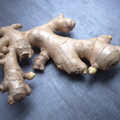 Fresh ginger (Zingiber officinale) known as Jahe in Indonesia. Raw material for traditional medicine herb, alternative health therapy. Containing Gingerol as anti-inflammatory and antioxidant. Seen from above.
