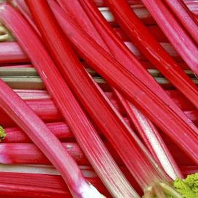 rhubarb