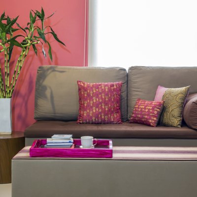 Modern living room with sofa and vase of Lucky bamboo