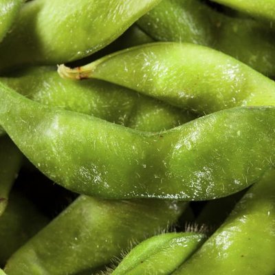 A close-up of steamed edamame.