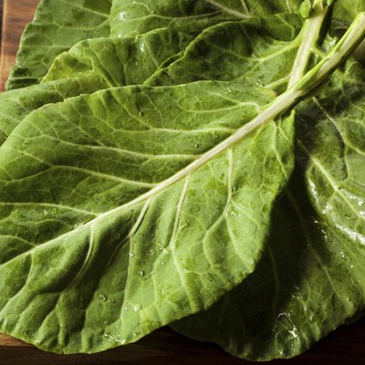 Raw Organic Green Collard Greens