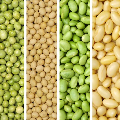 soybeans background