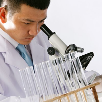 Asian people engaging in nurturing research