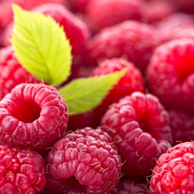 Ripe red raspberries