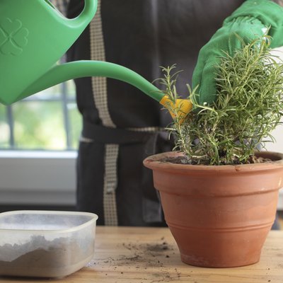 Potting