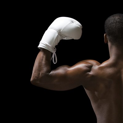 Rear view of a boxer