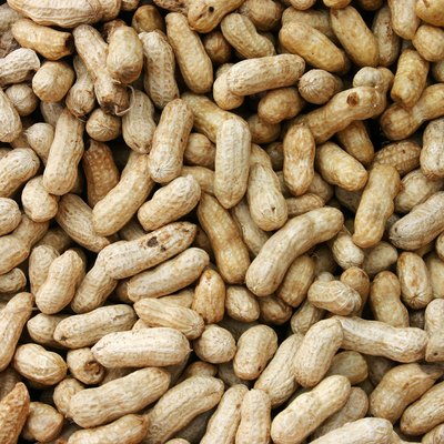 Peanuts In Shells
