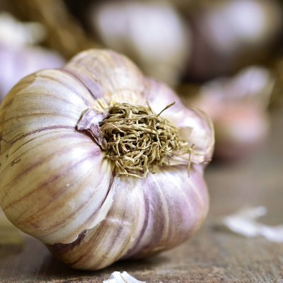 Garlic.