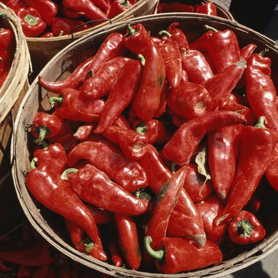 Red chilli peppers in buckets, Chile