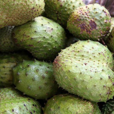 Soursop Fruit